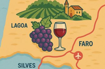 Algarve Wine Routes from Faro Airport