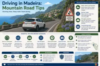 Driving in Madeira: Mountain Road Tips